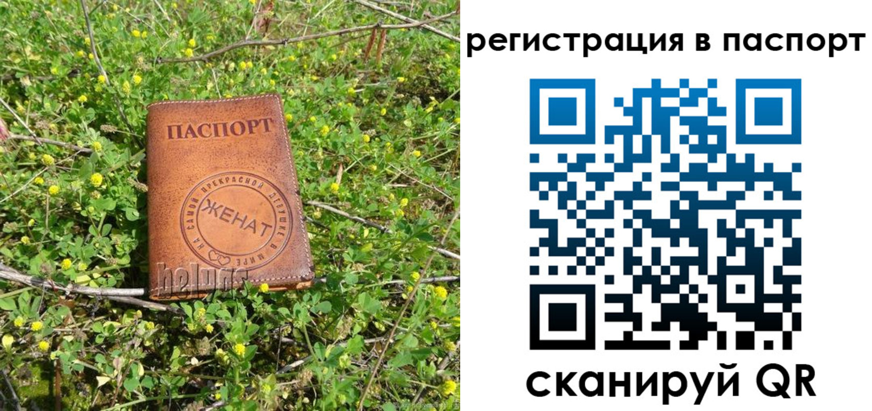 прописка для кредита в Жукове